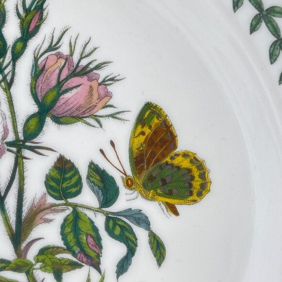 portmeirion botanic garden collection salad plate "rosa canina dog rose" pattern - Picture 3 of 8